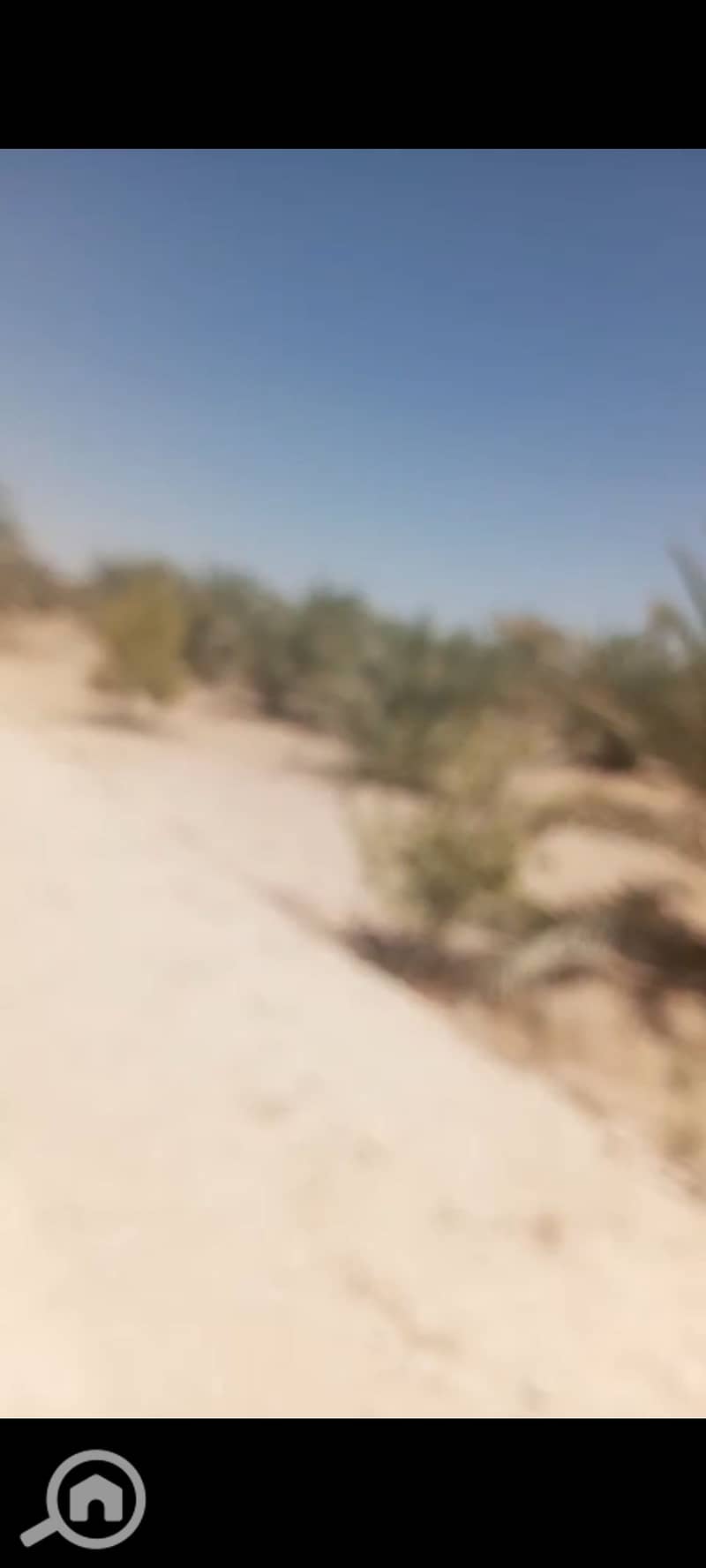 24 1000402841. jpg