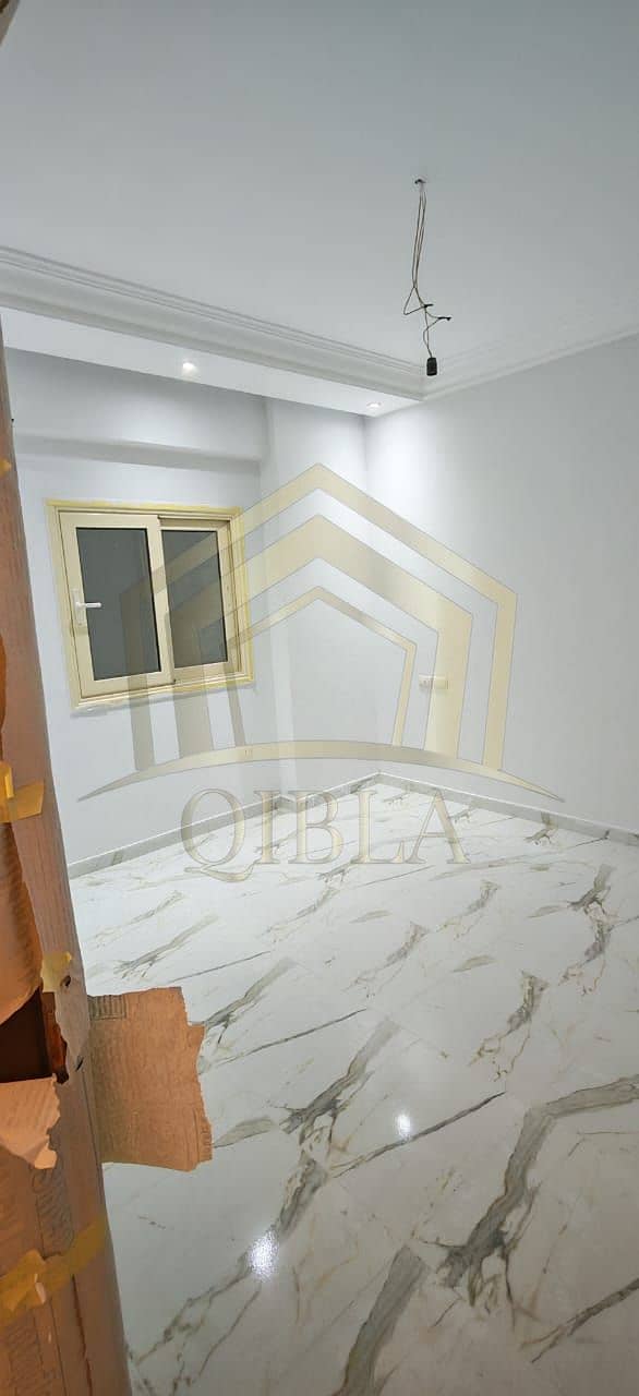 6 shaka-iijar-zayed-heights-sheikh-zayed-1. jpg. jpeg