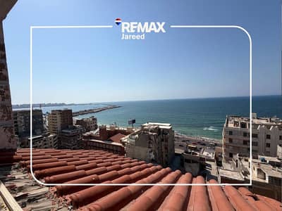 3 Bedroom Apartment for Sale in Hay Wasat, Alexandria - Baradei--1564---12. png---e0271c75b323776a0cffe18960918c7a. png 3 Bedroom Apartment for Sale in Hay Wasat, Alexandria - Baradei--1564---12. png---e0271c75b323776a0cffe18960918c7a. png