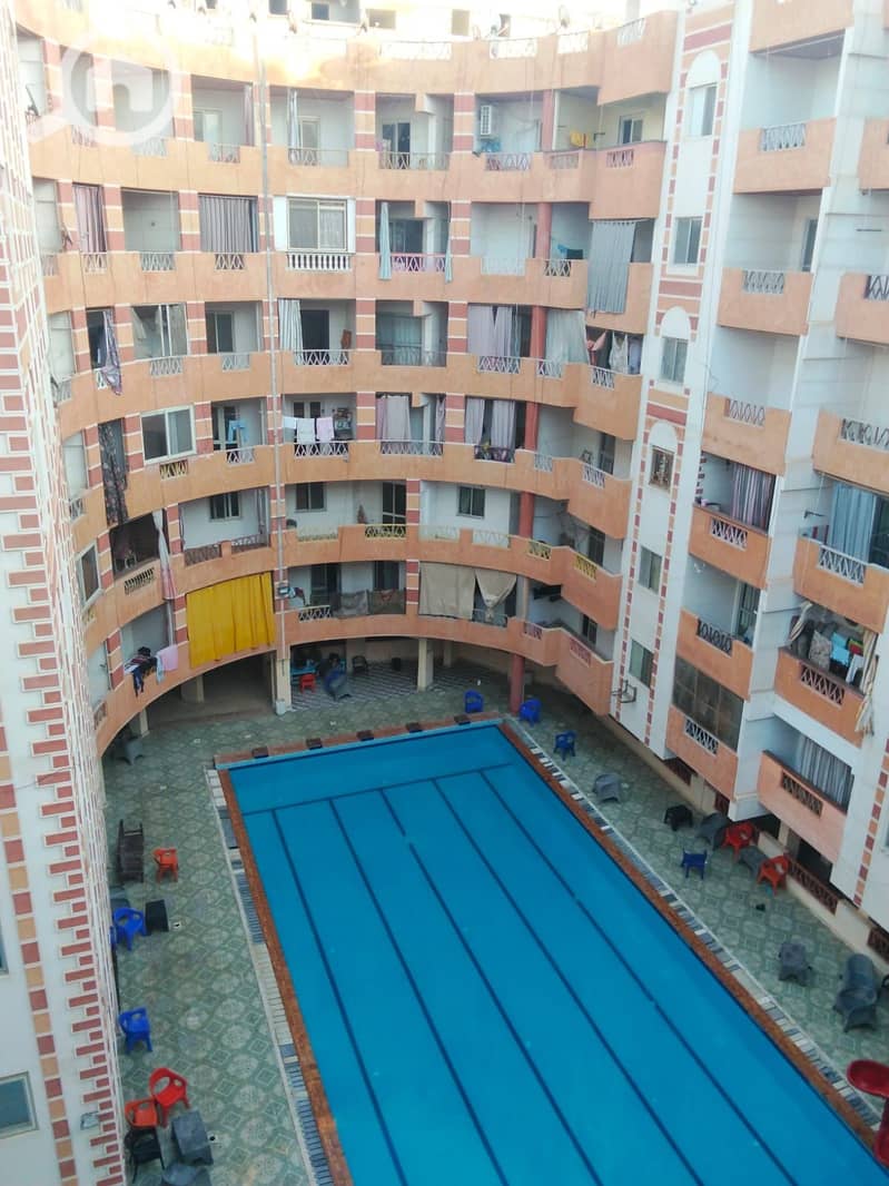 6 1001085800. jpg