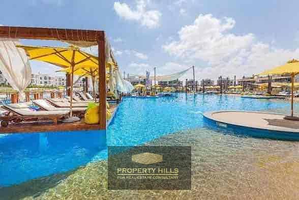 14 IMG_2833. jpg