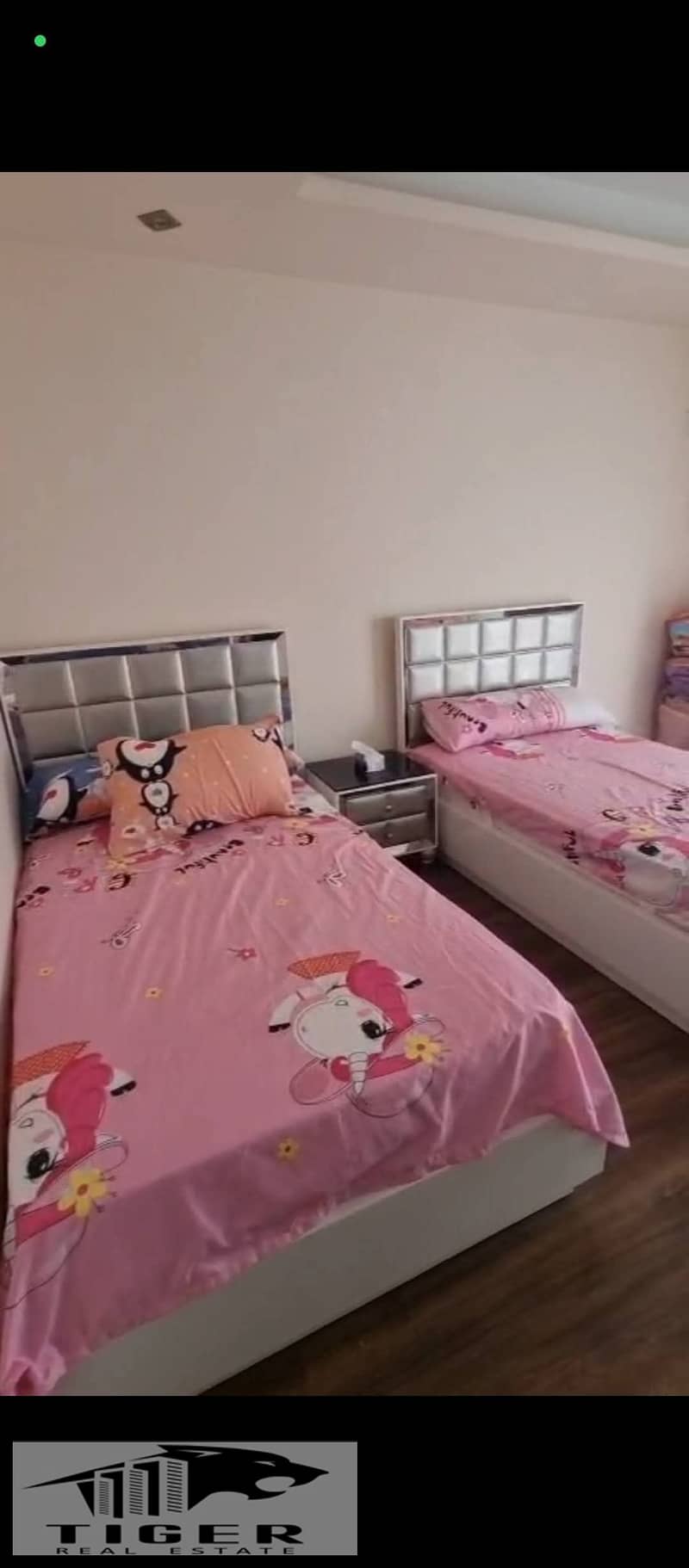 3 252853. jpg