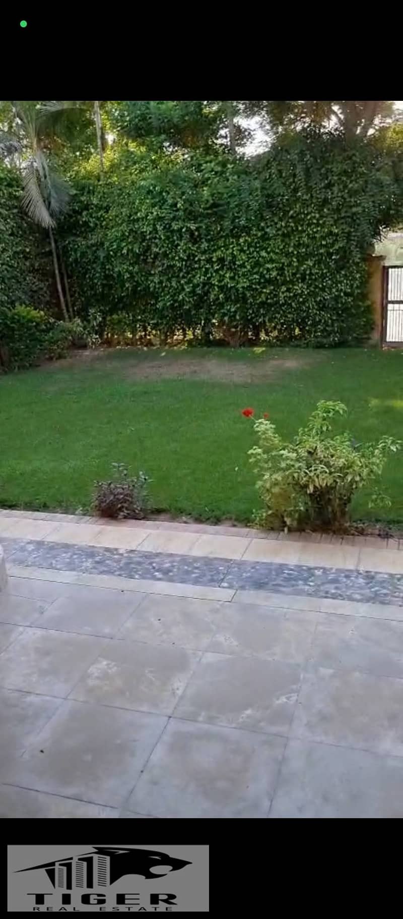 4 252856. jpg