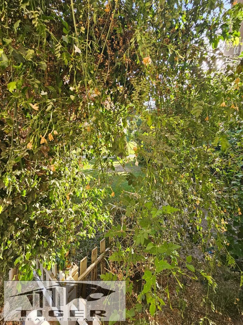 7 252809. jpg