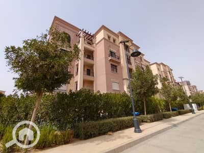 شقة 3 غرف نوم للايجار في القاهرة الجديدة، القاهرة - IMG-20251019-WA0066. jpg شقة 3 غرف نوم للايجار في القاهرة الجديدة، القاهرة - IMG-20251019-WA0066. jpg