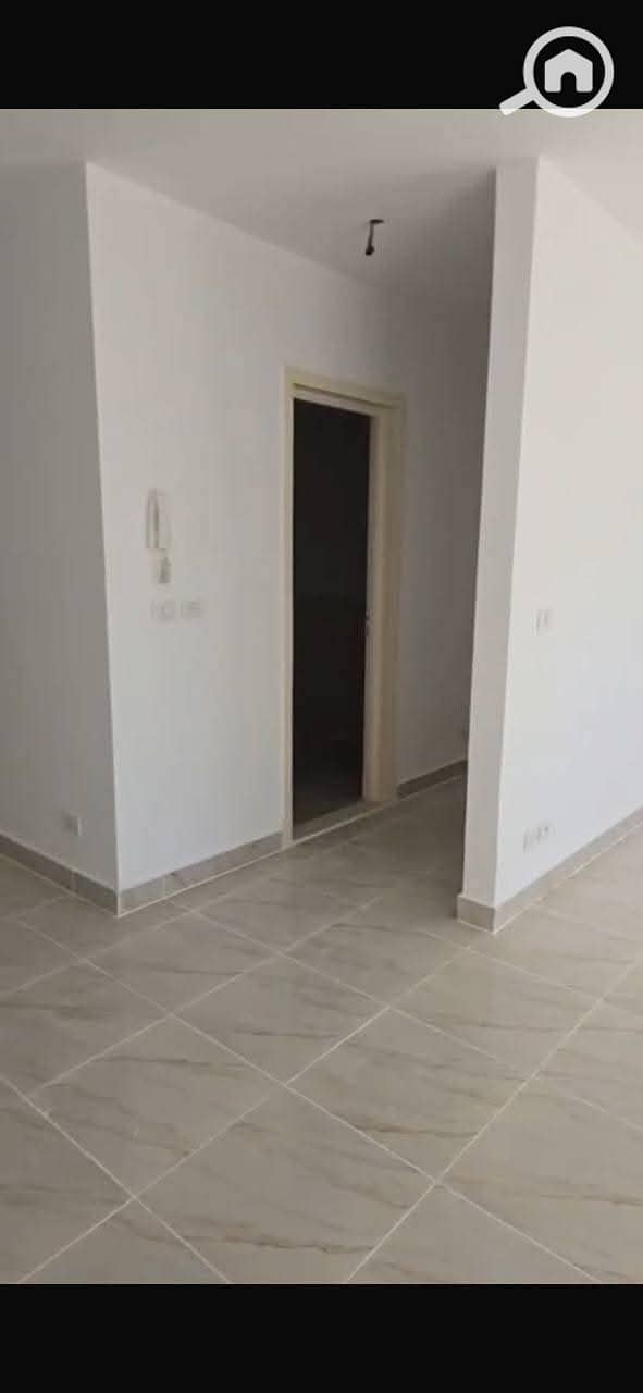 4 1001292326. jpg