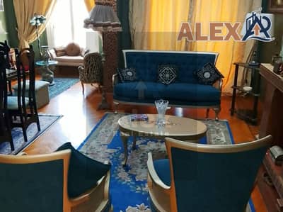 3 Bedroom Flat for Rent in Smoha, Alexandria - WhatsApp Image 2026-09-07 at 9.24. 51 PM. jpeg 3 Bedroom Flat for Rent in Smoha, Alexandria - WhatsApp Image 2026-09-07 at 9.24. 51 PM. jpeg