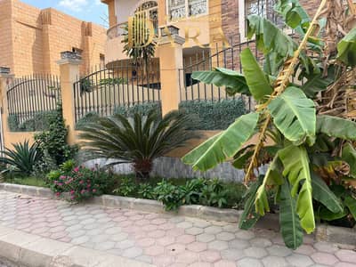 فلیٹ 3 غرف نوم للبيع في العبور، القاهرة - 1000097892. jpg فلیٹ 3 غرف نوم للبيع في العبور، القاهرة - 1000097892. jpg