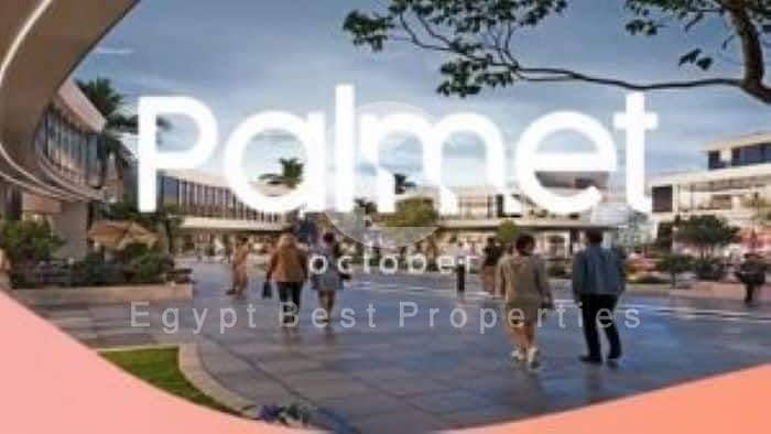 4 Palmet-6-October-1-1-300x169-1. jpg
