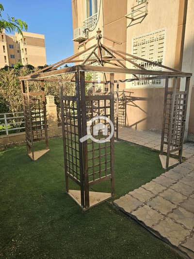 2 Bedroom Apartment for Rent in Madinaty, Cairo - 53318575-6e4e-4f48-99ee-986062b80cbc. jpg 2 Bedroom Apartment for Rent in Madinaty, Cairo - 53318575-6e4e-4f48-99ee-986062b80cbc. jpg