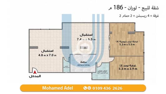 2 Bedroom Apartment for Sale in Laurent, Alexandria - 7eb058f0-27e4-40f3-8fbb-d5bfc3680bd9. jpg