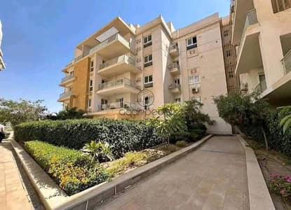 3 Bedroom Apartment for Sale in New Cairo, Cairo - WhatsApp Image 2026-09-06 at 1.18. 40 PM (3). jpeg 3 Bedroom Apartment for Sale in New Cairo, Cairo - WhatsApp Image 2026-09-06 at 1.18. 40 PM (3). jpeg