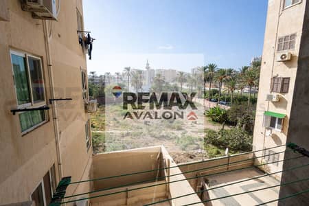 2 Bedroom Apartment for Rent in Smoha, Alexandria - 1. jpg 2 Bedroom Apartment for Rent in Smoha, Alexandria - 1. jpg