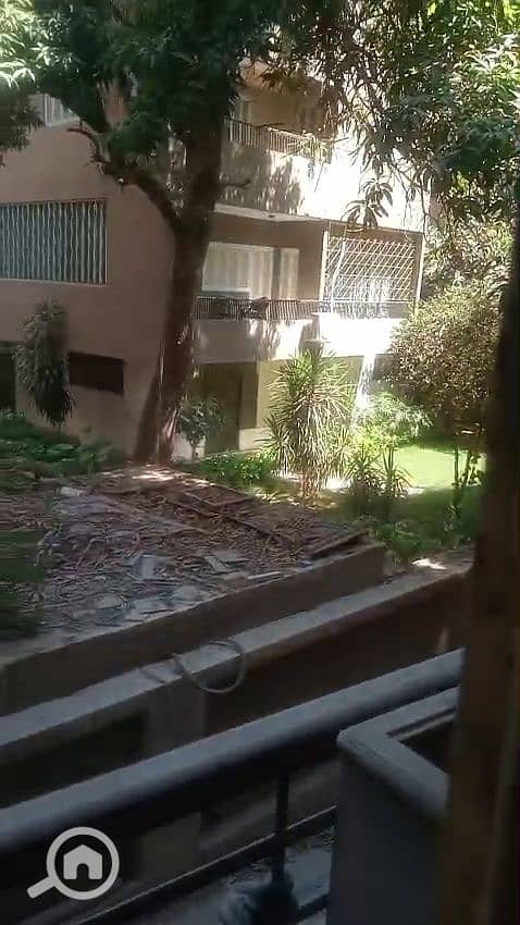 20 1000118373. jpg
