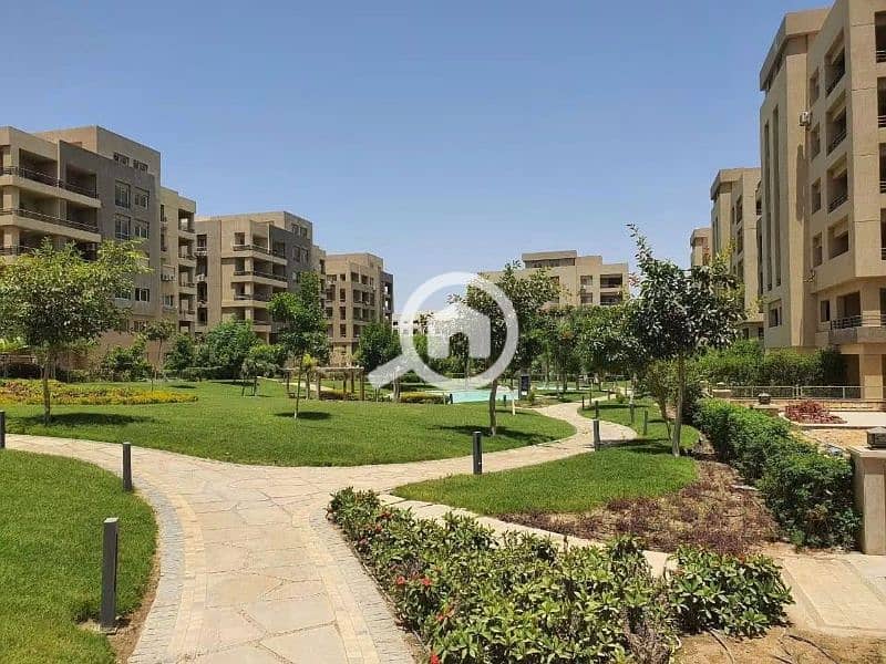 10 790425286_122306187758231149_2622904251731481615_n. jpg