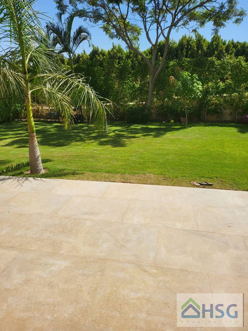 31 5d434a95-77dc-434f-8939-69c1f11445d4. jpg