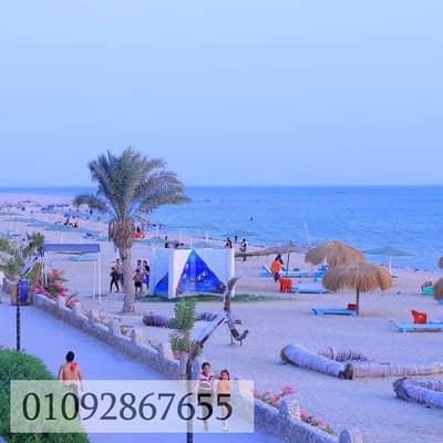 شاليه 2 غرفة نوم للبيع في راس سدر، سيناء - WhatsApp Image 2026-09-01 at 3.39. 50 PM (1). jpeg شاليه 2 غرفة نوم للبيع في راس سدر، سيناء - WhatsApp Image 2026-09-01 at 3.39. 50 PM (1). jpeg