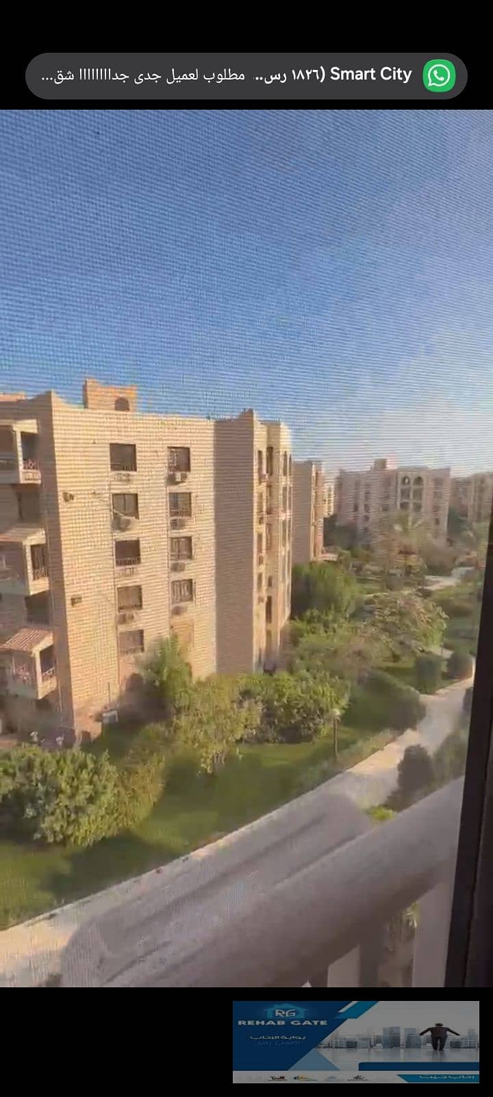 11 10168. jpg