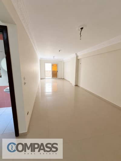 3 Bedroom Apartment for Sale in Sporting, Alexandria - WhatsApp Image 2026-09-08 at 5.00. 58 PM. jpeg