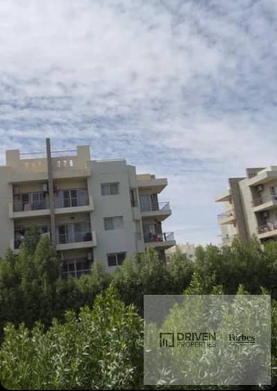 3 Bedroom Apartment for Sale in Sheikh Zayed, Giza - WhatsApp Image 2026-09-04 at 12.42. 37 PM (1). jpeg 3 Bedroom Apartment for Sale in Sheikh Zayed, Giza - WhatsApp Image 2026-09-04 at 12.42. 37 PM (1). jpeg