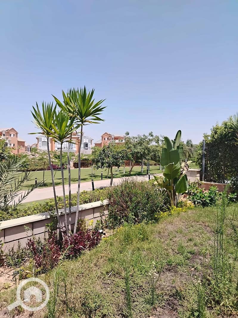 15 19_Garden_Palms. jpg