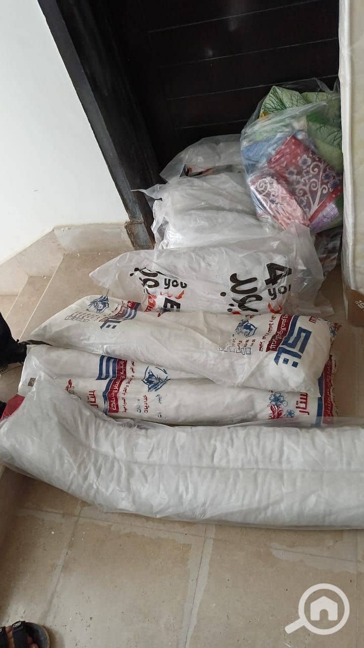 10 WhatsApp Image 2025-01-26 at 20.49. 41_af95c131. jpg