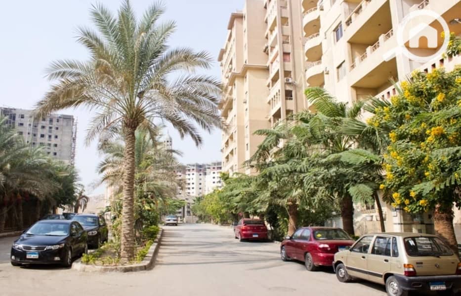 5 general palm (1). jpg