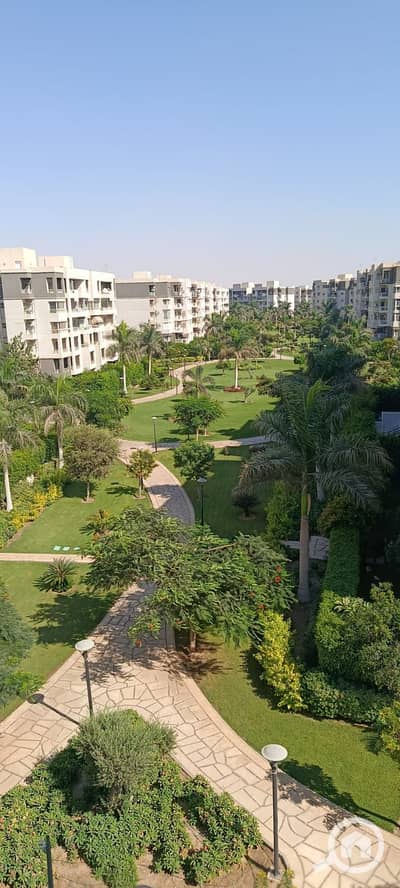 3 Bedroom Flat for Rent in Madinaty, Cairo - 6707af20-9ba6-4bae-a9a4-500eb0fcf8c8. jpg 3 Bedroom Flat for Rent in Madinaty, Cairo - 6707af20-9ba6-4bae-a9a4-500eb0fcf8c8. jpg