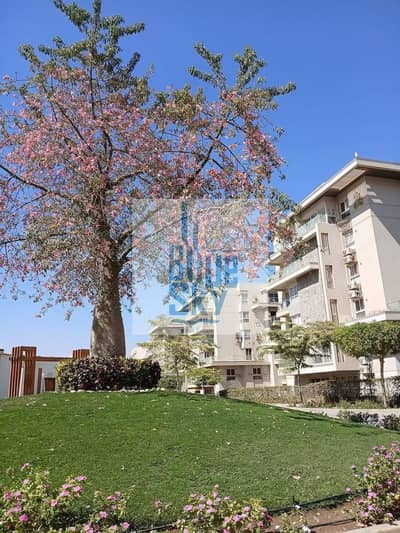 3 Bedroom Apartment for Sale in New Cairo, Cairo - 524632298_122161796168452447_6849582209737511147_n. jpg 3 Bedroom Apartment for Sale in New Cairo, Cairo - 524632298_122161796168452447_6849582209737511147_n. jpg