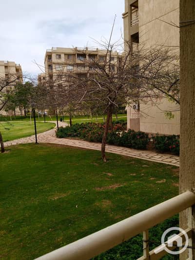 2 Bedroom Flat for Sale in Madinaty, Cairo - WhatsApp Image 2026-09-08 at 6.31. 24 PM (6). jpeg 2 Bedroom Flat for Sale in Madinaty, Cairo - WhatsApp Image 2026-09-08 at 6.31. 24 PM (6). jpeg
