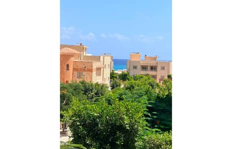 2 Bedroom Chalet for Sale in North Coast, Matruh - WhatsApp Image 2026-09-08 at 6.57. 44 PM (2). jpg 2 Bedroom Chalet for Sale in North Coast, Matruh - WhatsApp Image 2026-09-08 at 6.57. 44 PM (2). jpg
