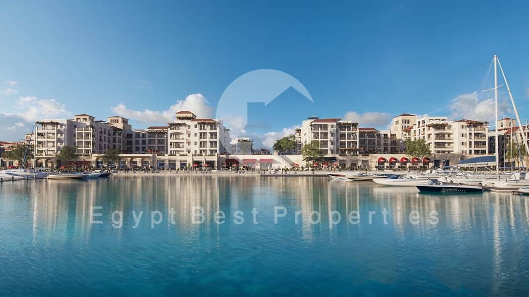 7 image - 2026-09-08T150843.163. png