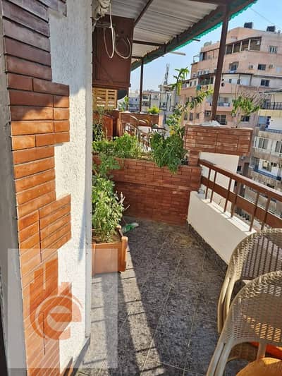 شقة 2 غرفة نوم للايجار في سموحة، الإسكندرية - 798084715_934466193048774_5850343749687191042_n. jpg