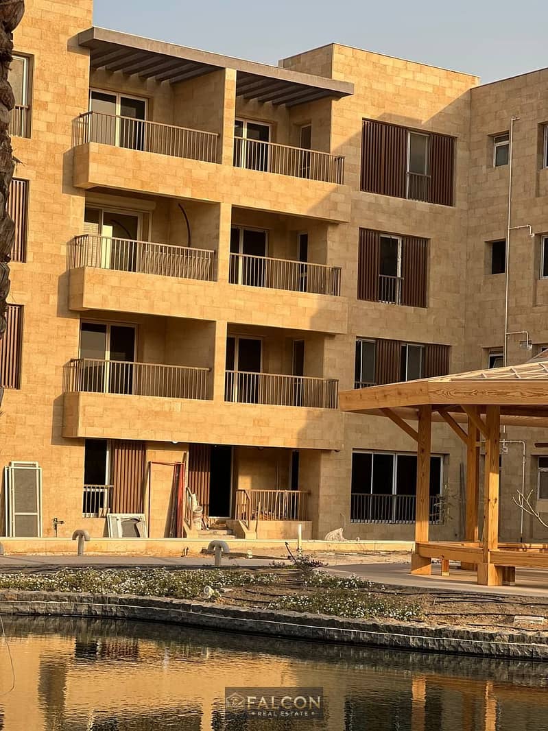 9 photo_86_2025-05-08_16-12-50. jpg