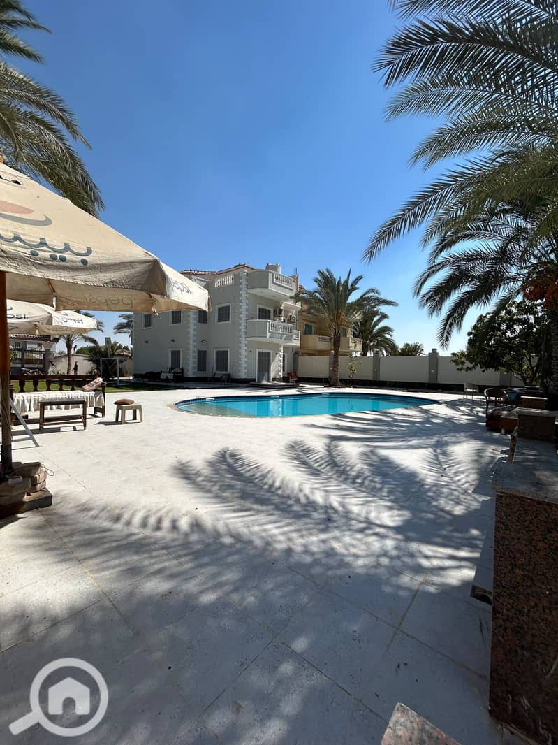 484360. jpg 484360. jpg