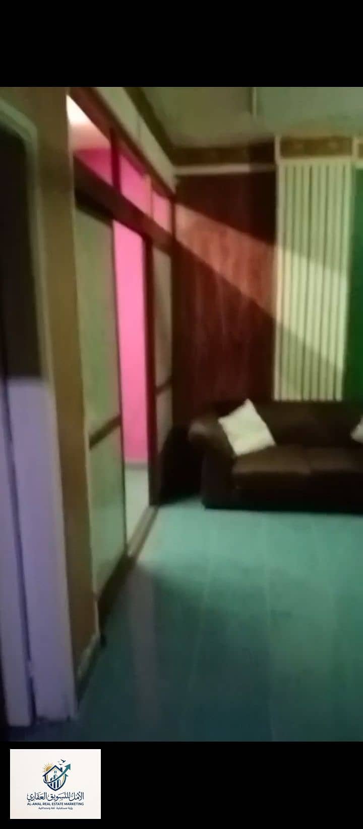 7 1000273541. jpg