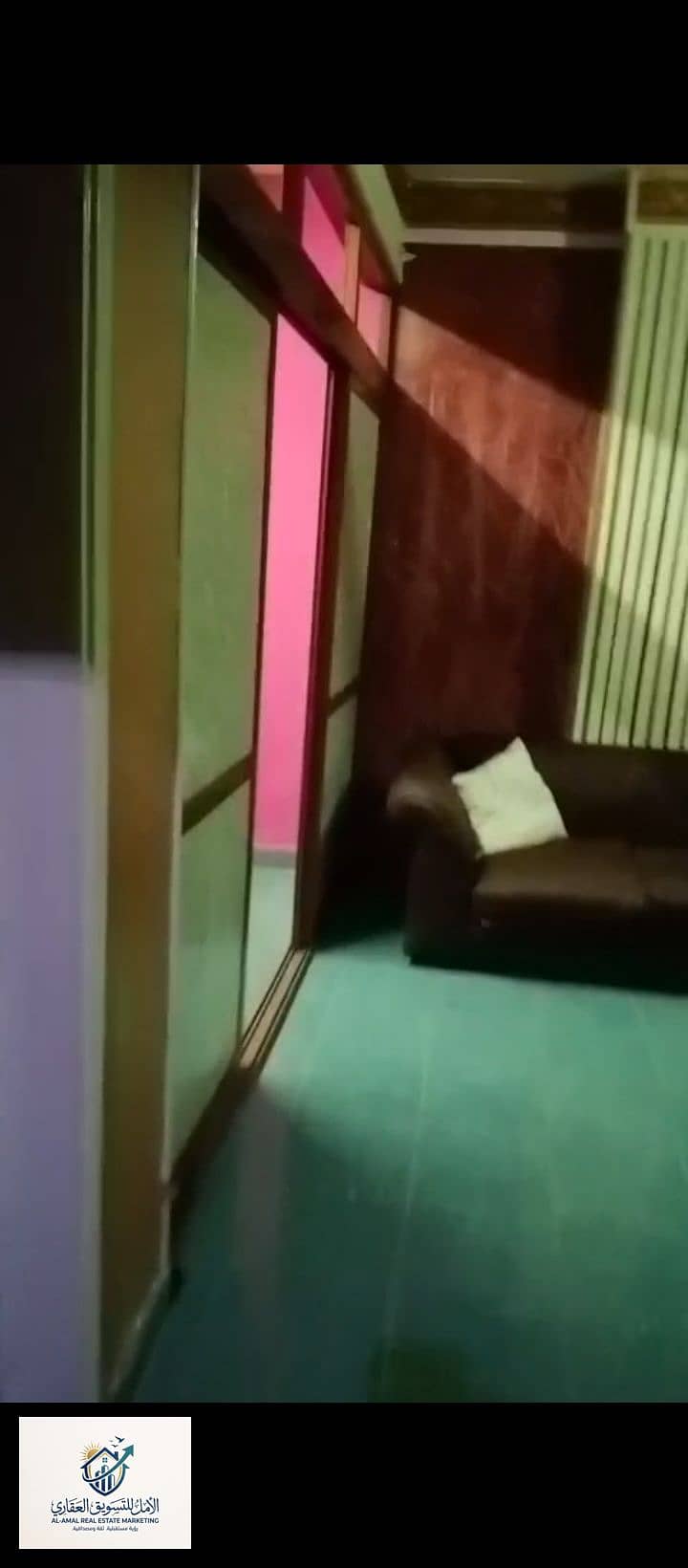 10 1000273536. jpg