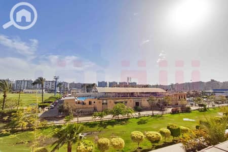 3 Bedroom Apartment for Sale in Smoha, Alexandria - WhatsApp Image 2026-09-05 at 18.01. 27 (1). jpg