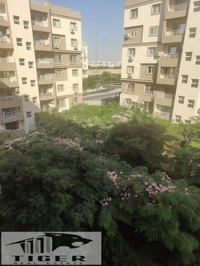 2 Bedroom Apartment for Sale in Madinaty, Cairo - 1000127994. jpg