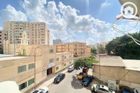 فلیٹ 3 غرف نوم للايجار في سموحة، الإسكندرية - 13-18. jpg فلیٹ 3 غرف نوم للايجار في سموحة، الإسكندرية - 13-18. jpg