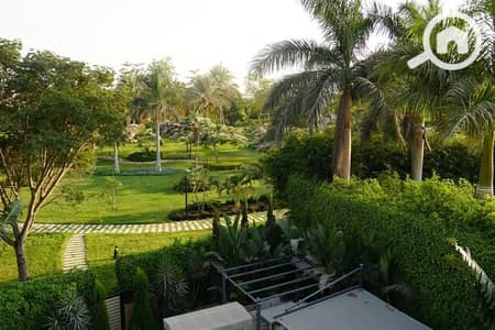 4 Bedroom Villa for Sale in Madinaty, Cairo - WhatsApp Image 2026-09-09 at 1.40. 14 PM. jpeg
