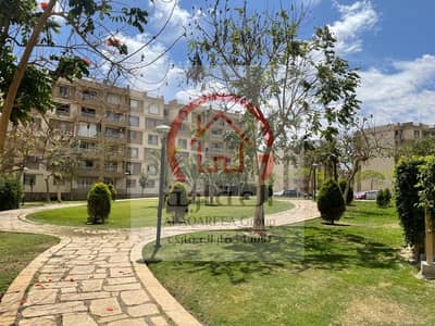 3 Bedroom Flat for Sale in Madinaty, Cairo - سسسسسسسسسسسسسسسسسسسسسسسسسسسسسسسسسسسسسسسسس. jpeg 3 Bedroom Flat for Sale in Madinaty, Cairo - سسسسسسسسسسسسسسسسسسسسسسسسسسسسسسسسسسسسسسسسس. jpeg