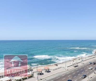 مکتب للايجار في سبورتنج، الإسكندرية - 09fbf029-8324-4262-a5d0-0247545a771e. jpg مکتب للايجار في سبورتنج، الإسكندرية - 09fbf029-8324-4262-a5d0-0247545a771e. jpg