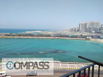 فلیٹ 3 غرف نوم للبيع في جليم، الإسكندرية - WhatsApp Image 2026-09-09 at 3.03. 55 PM (1). jpeg فلیٹ 3 غرف نوم للبيع في جليم، الإسكندرية - WhatsApp Image 2026-09-09 at 3.03. 55 PM (1). jpeg