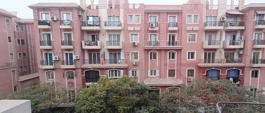 7 2321133 (4). png