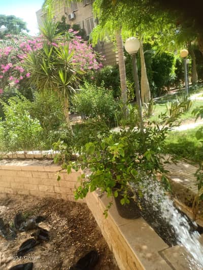 2 Bedroom Apartment for Rent in Sheikh Zayed, Giza - WhatsApp Image 2026-09-08 at 1.09. 26 AM (1). jpg 2 Bedroom Apartment for Rent in Sheikh Zayed, Giza - WhatsApp Image 2026-09-08 at 1.09. 26 AM (1). jpg