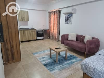 1 Bedroom Flat for Rent in New Cairo, Cairo - IMG-20250812-WA0003. jpg