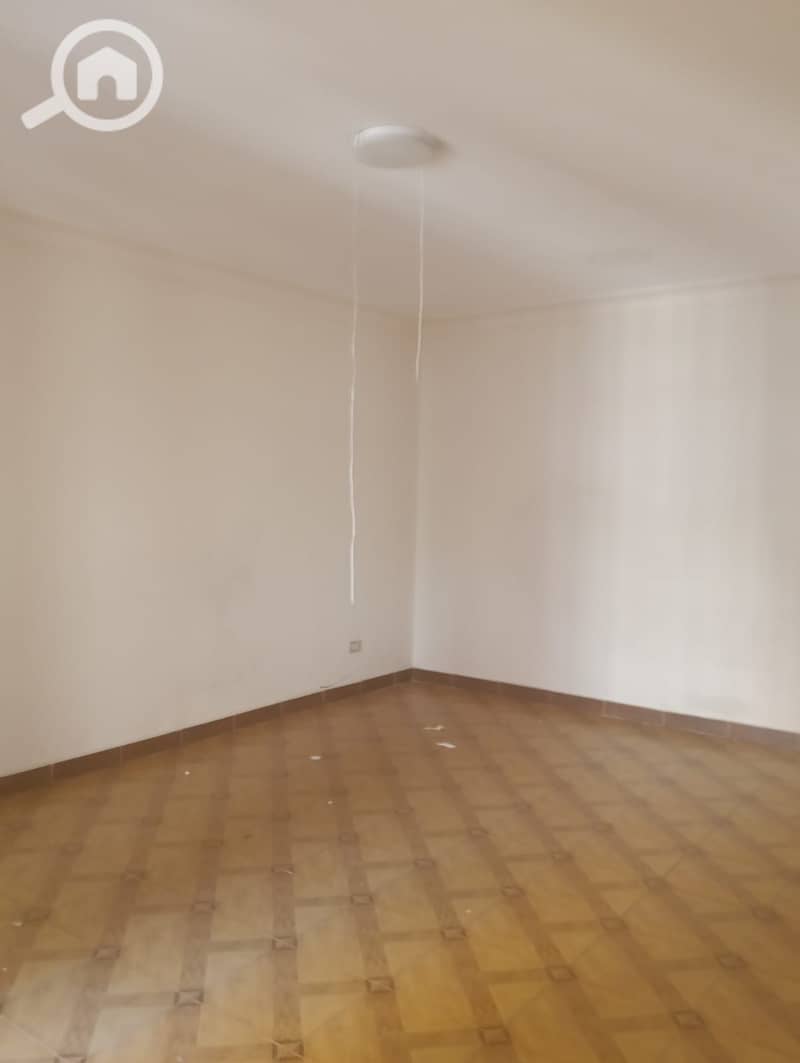 3 903734. jpg
