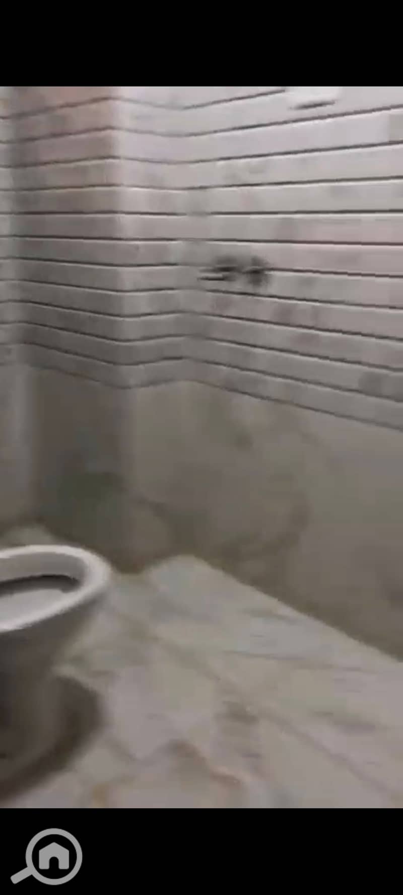 6 1000426790. jpg