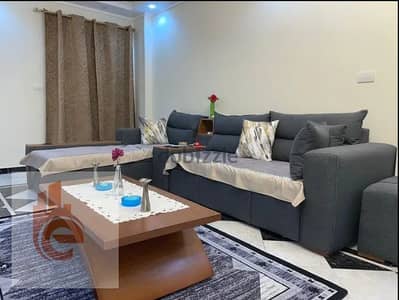 3 Bedroom Flat for Rent in Al Ibrahimiyyah, Alexandria - 5553. png 3 Bedroom Flat for Rent in Al Ibrahimiyyah, Alexandria - 5553. png